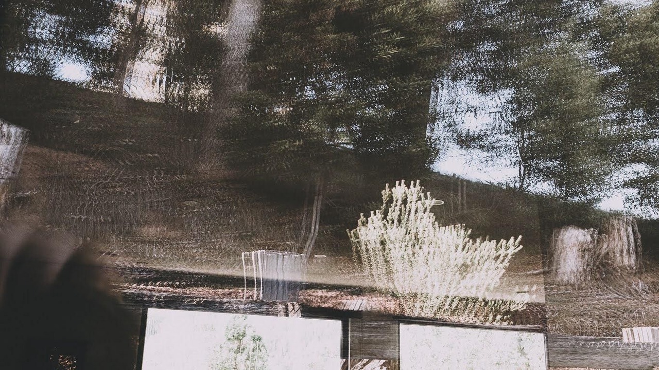 Photo of Others in Bright