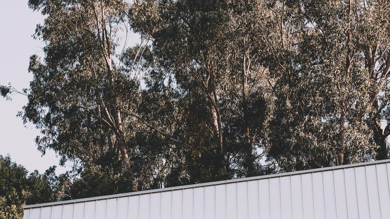 Photo of Outdoor in Bright