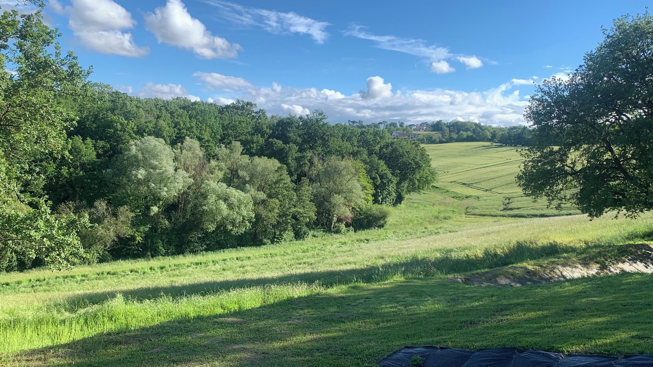 Photo of Others in Gemil