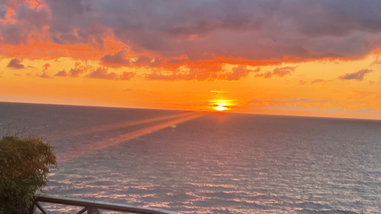 Photo of Others in Holloselund