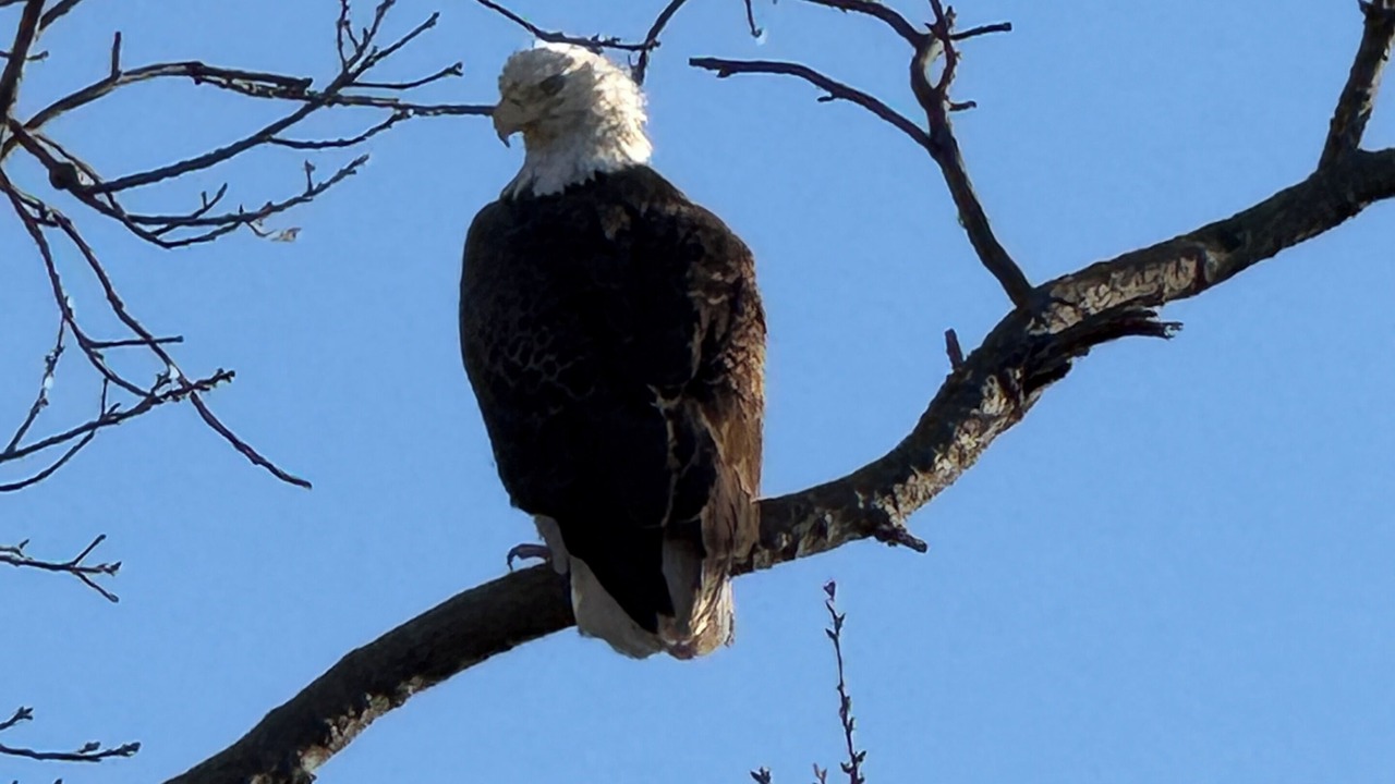 Photo of Others in Eufaula