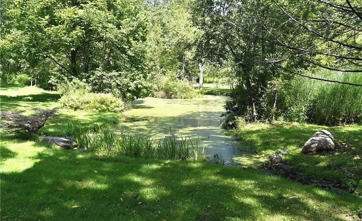 Photo of Outdoor in Middle Hope