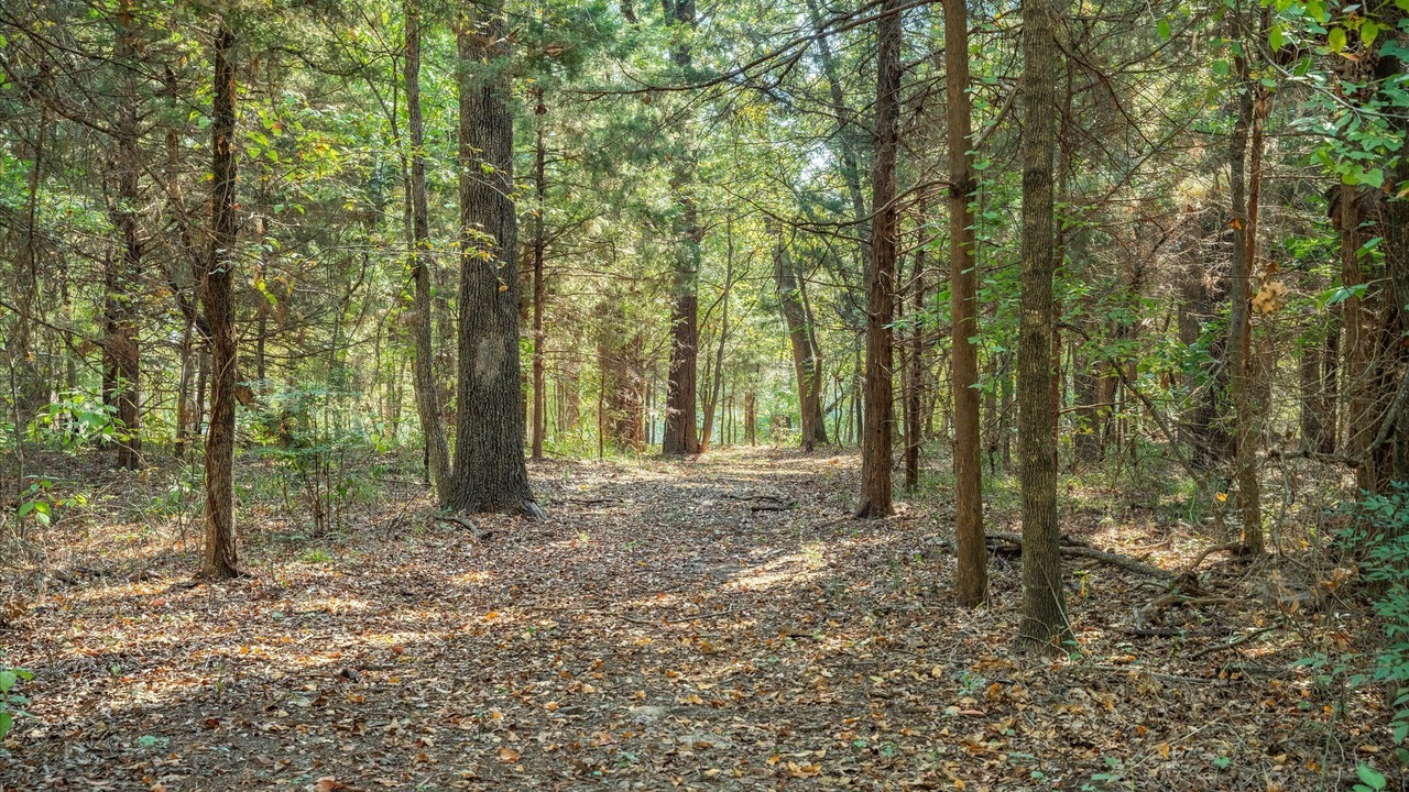 Photo of Outdoor in Wills Point