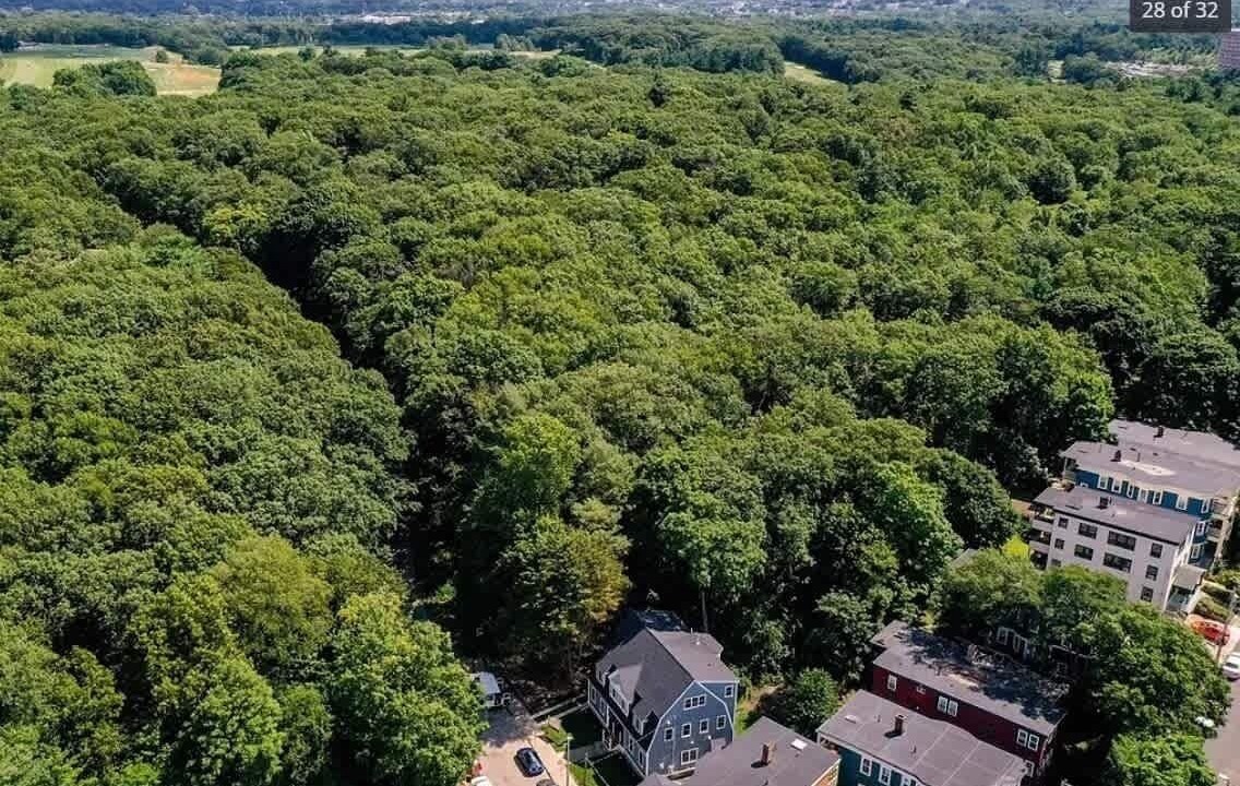 Photo of Outdoor in Jamaica Plain