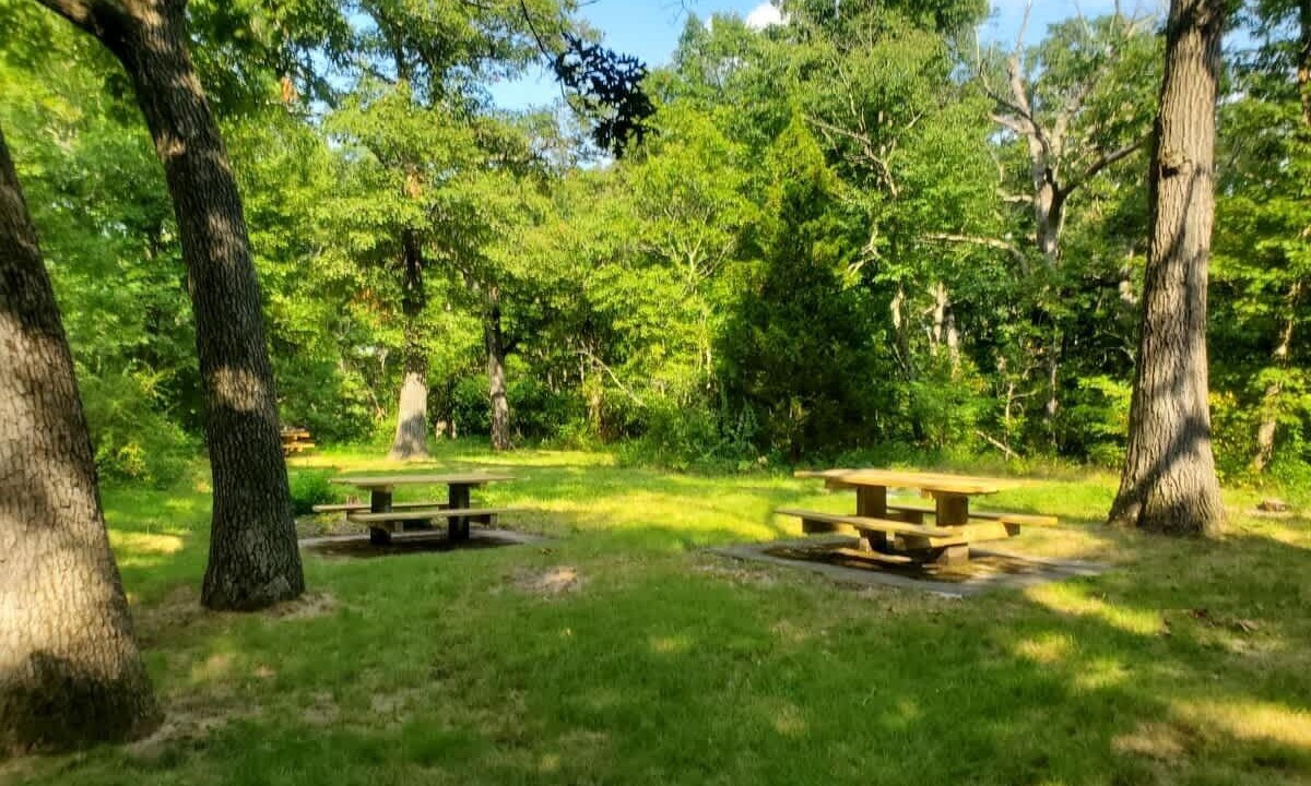 Photo of Others in Jamaica Plain