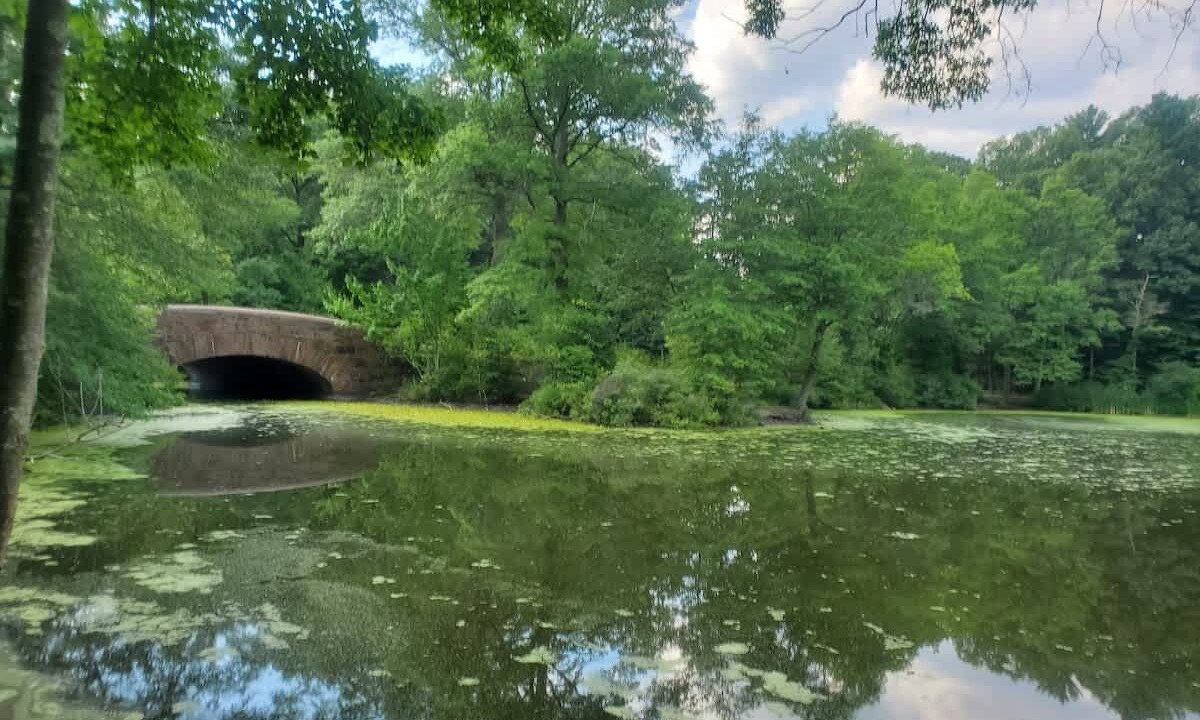 Photo of Others in Jamaica Plain