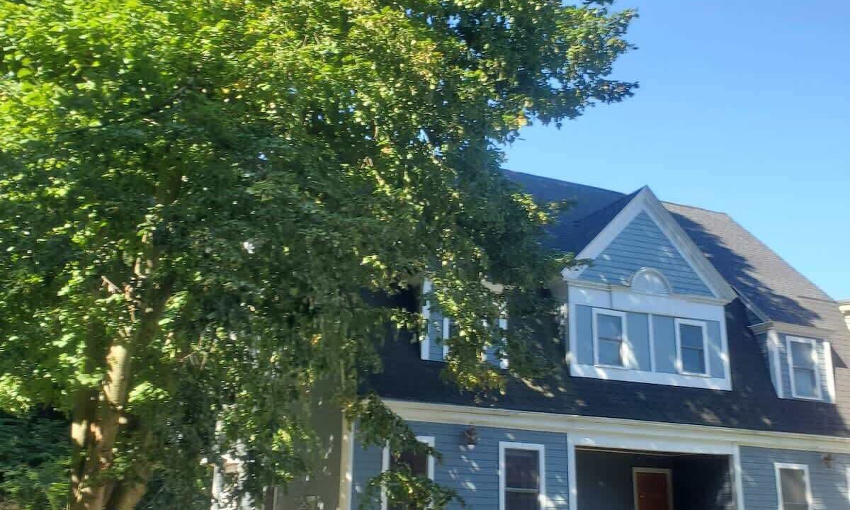 Photo of Outdoor in Jamaica Plain