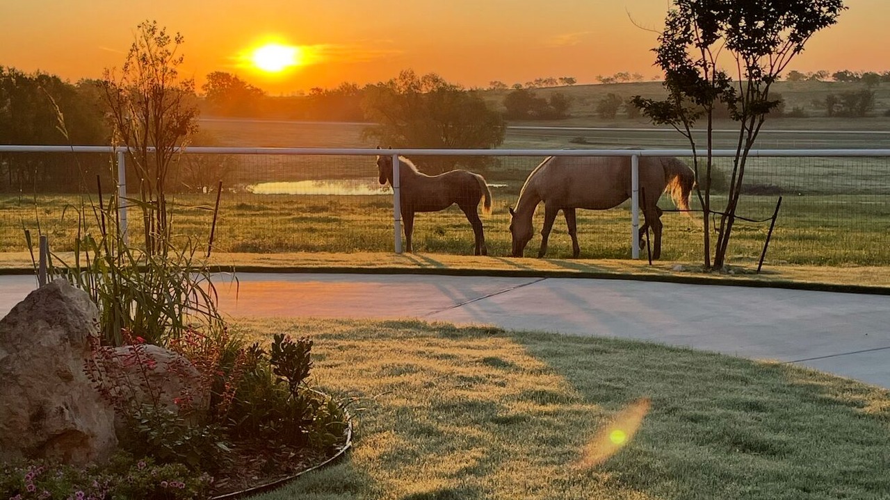 Photo of Others in Fort Worth