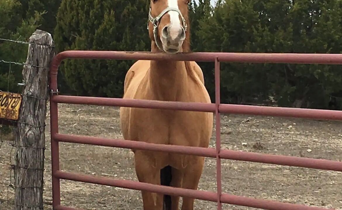 Photo of Others in Bell County