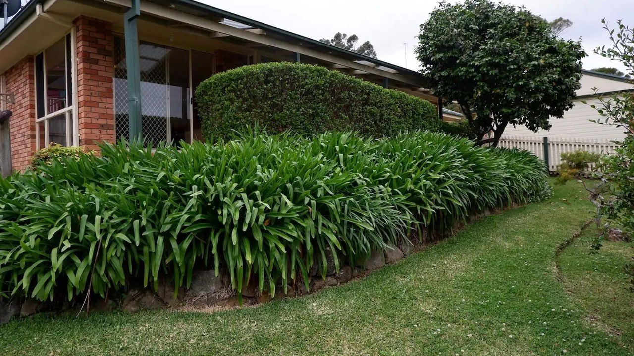 Photo of Outdoor in Green Point