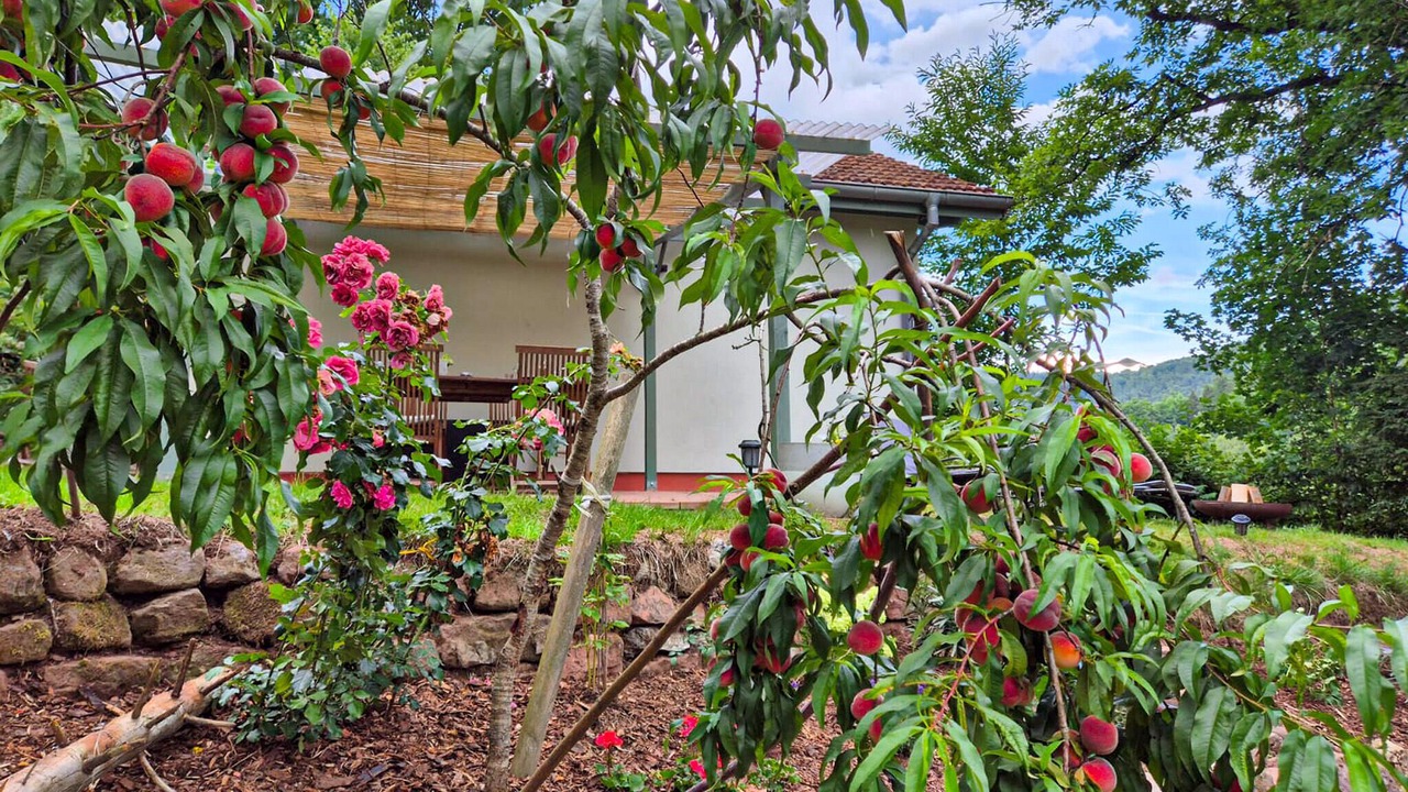 Photo of Others in Windstein