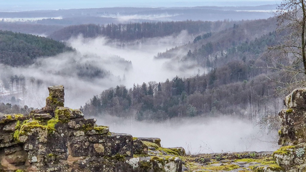 Photo of Others in Windstein