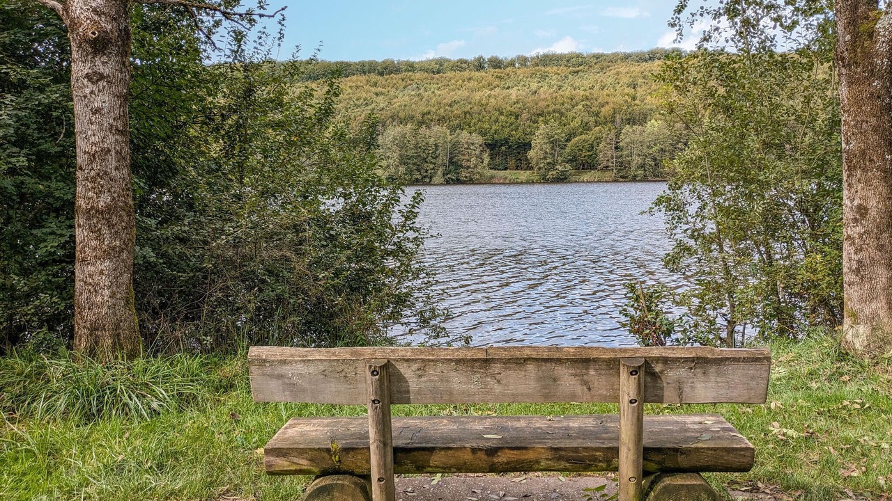 Photo of Others in Windstein