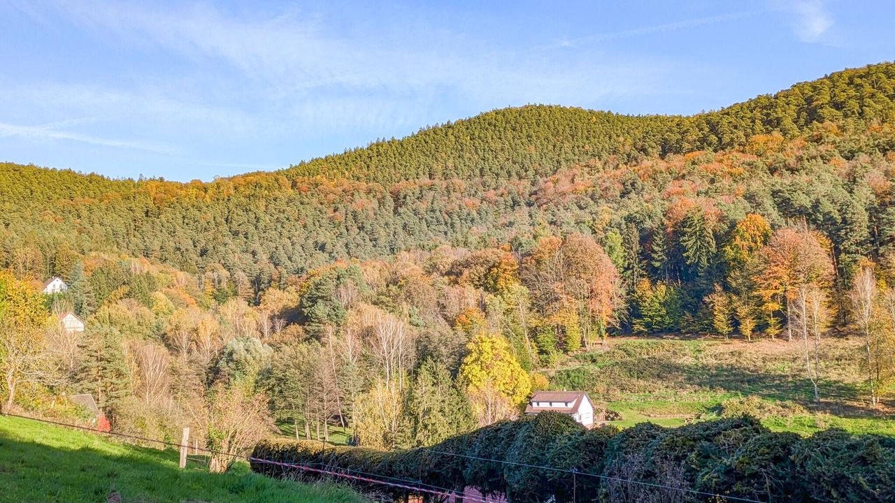 Photo of Others in Windstein