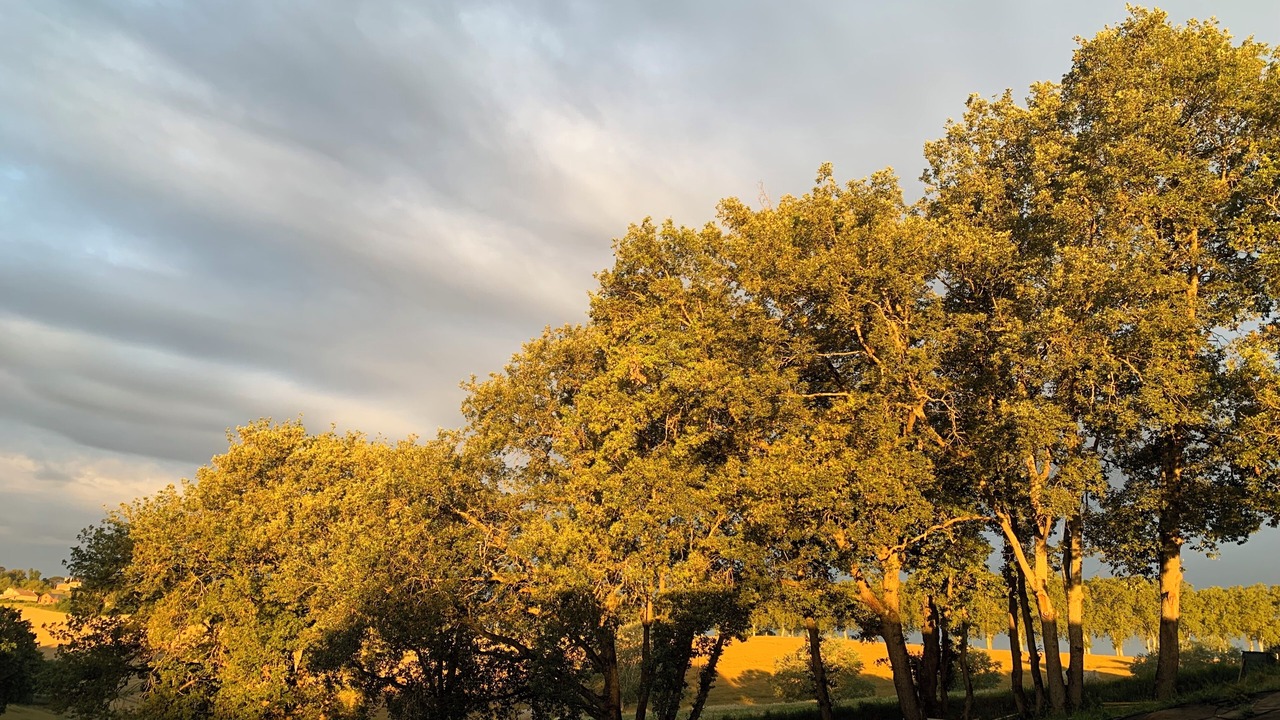 Photo of Others in Gemil