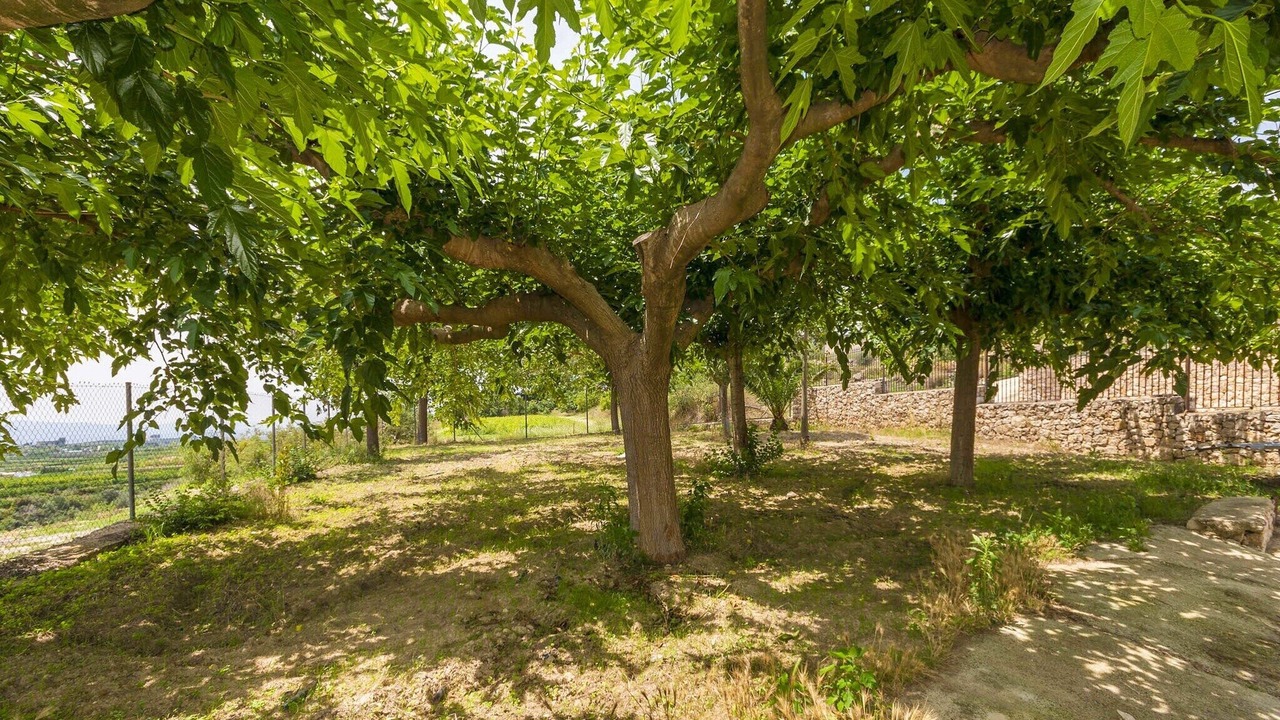 Photo of Outdoor in Luchente