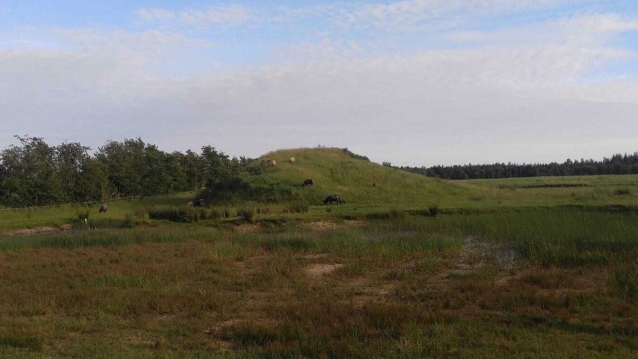 Photo of Others in Ansager