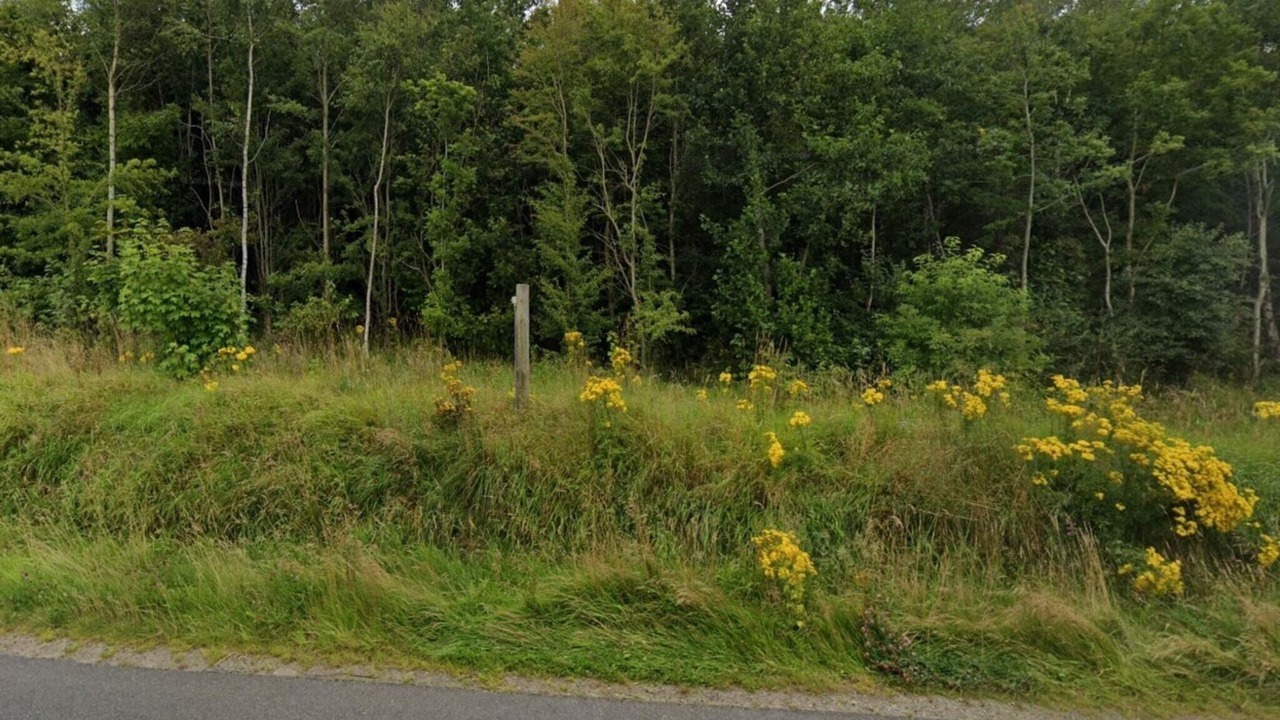 Photo of Others in Ansager