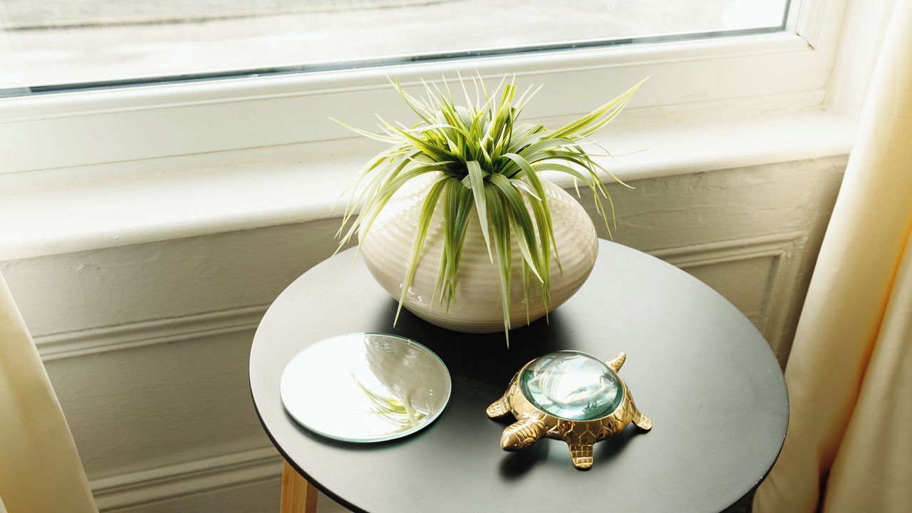 Photo of Others in Llandudno