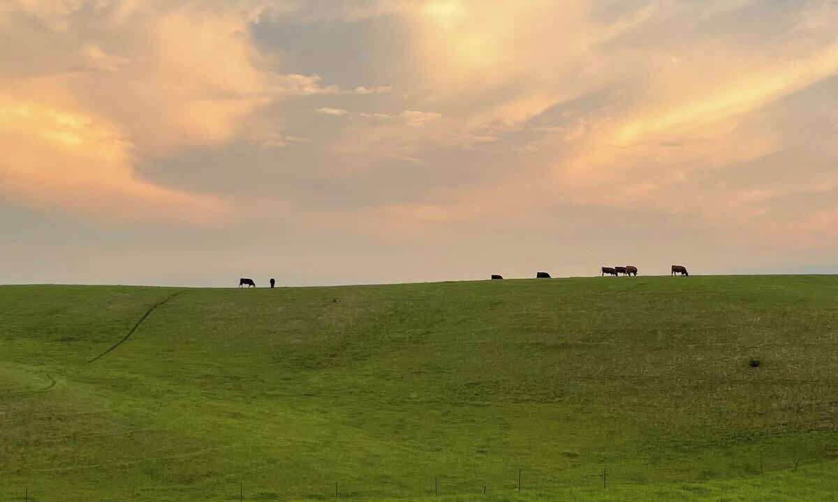Photo of Others in Canistota