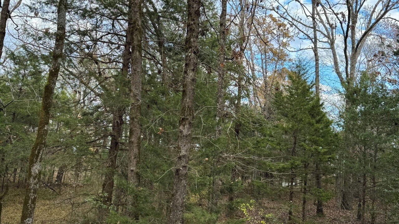 Photo of Outdoor in Canton