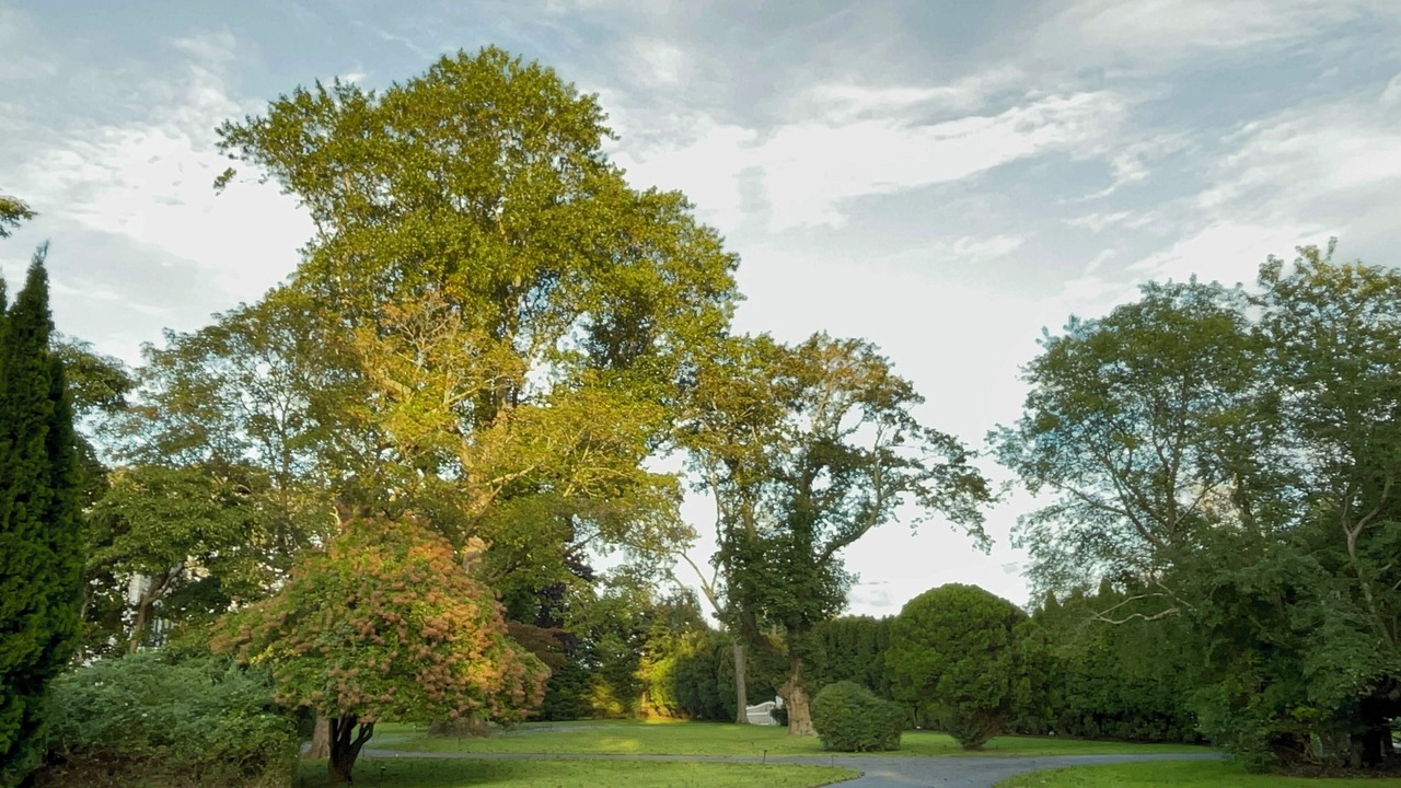 Photo of Others in Water Mill