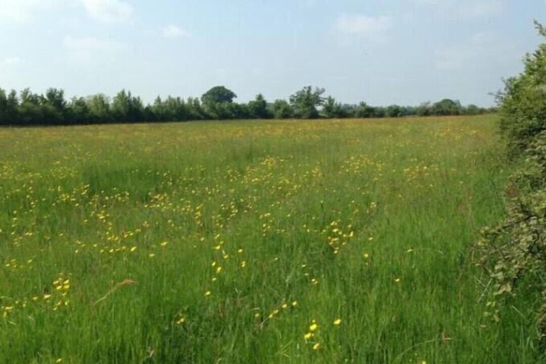 Photo of Others in Swindon