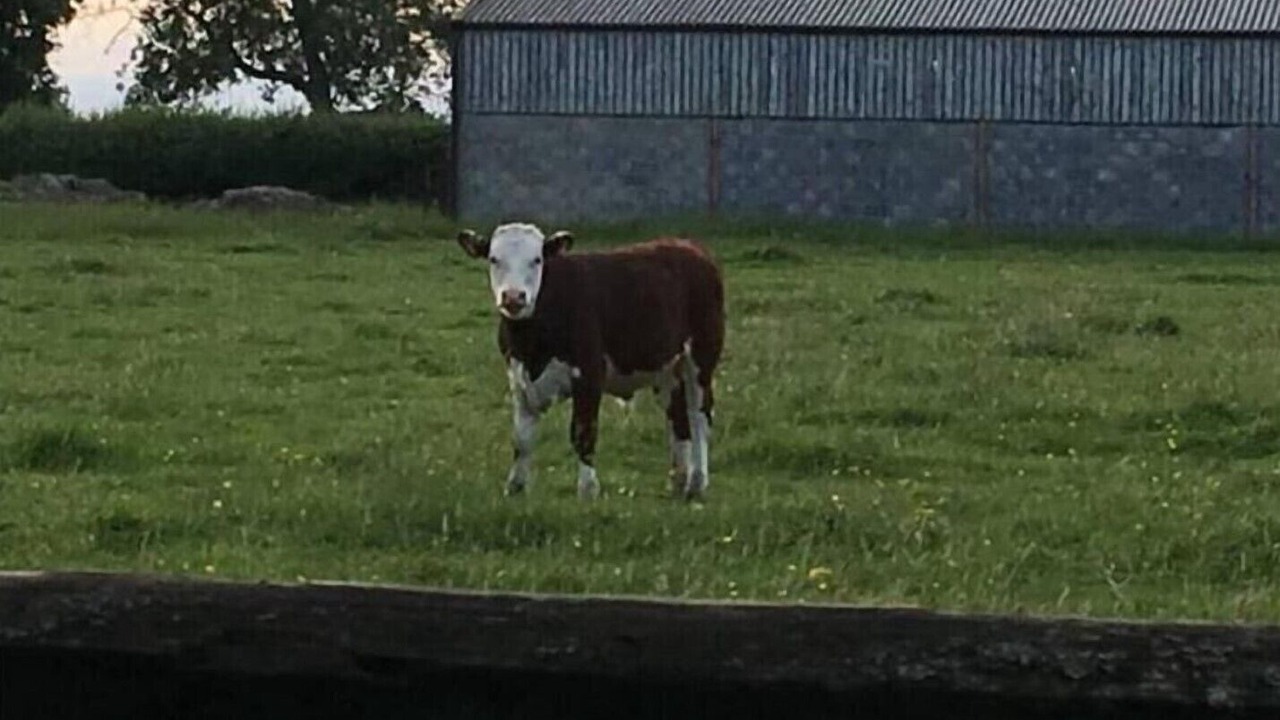 Photo of Others in Swindon