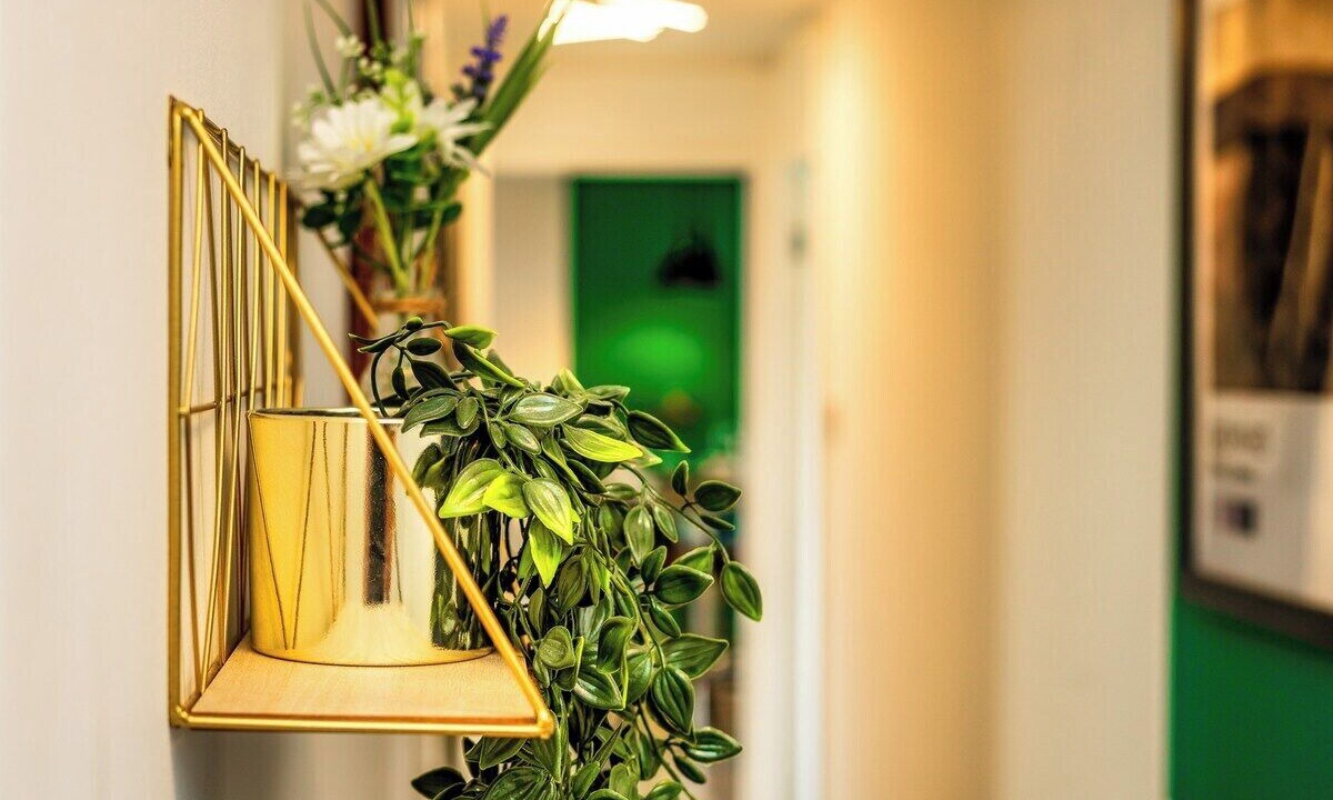 Photo of Others in Greenock