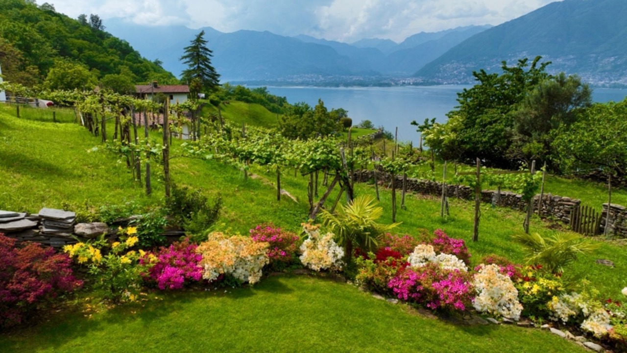 Photo of Outdoor in Magadino