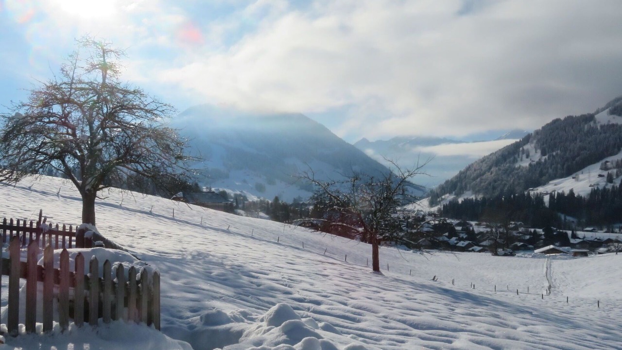 Photo of Others in Saanen