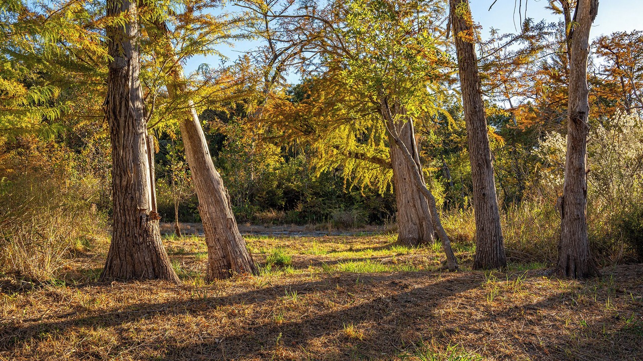 Photo of Others in Wimberley