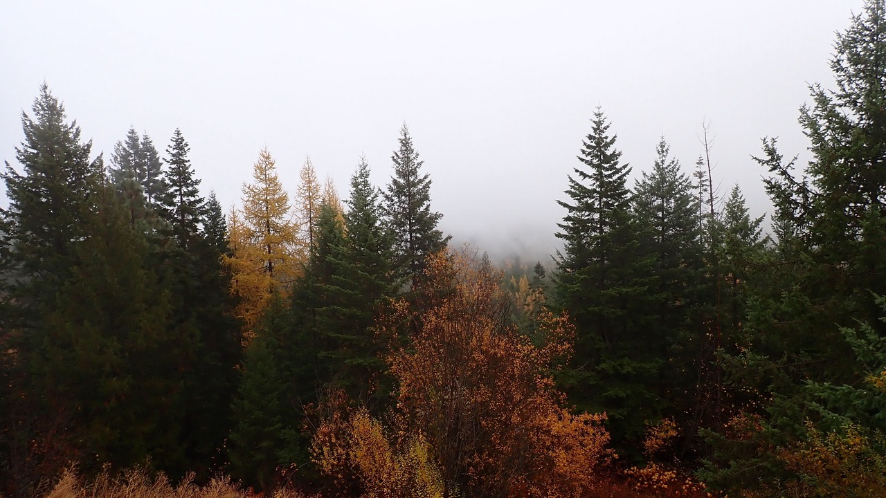 Photo of Others in Newport