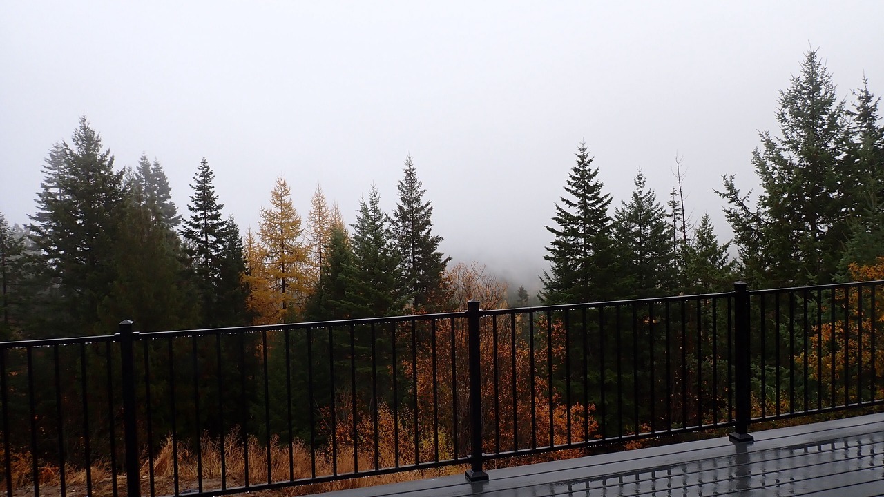 Photo of Outdoor in Newport