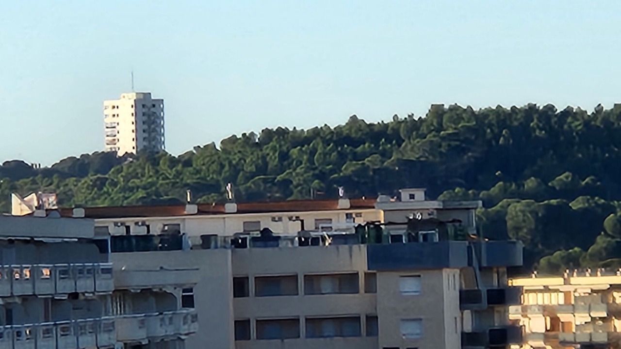 Photo of Others in La Pineda