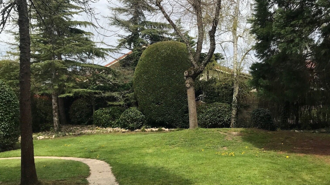 Photo of Outdoor in Murgia