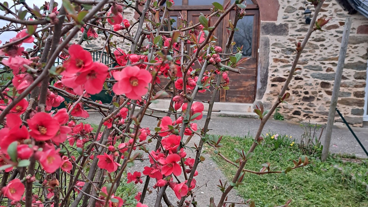 Photo of Outdoor in Almont-les-Junies
