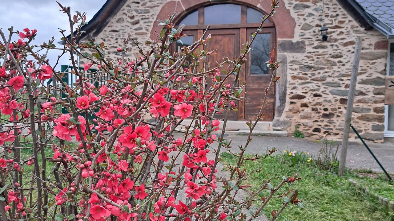 Photo of Outdoor in Almont-les-Junies
