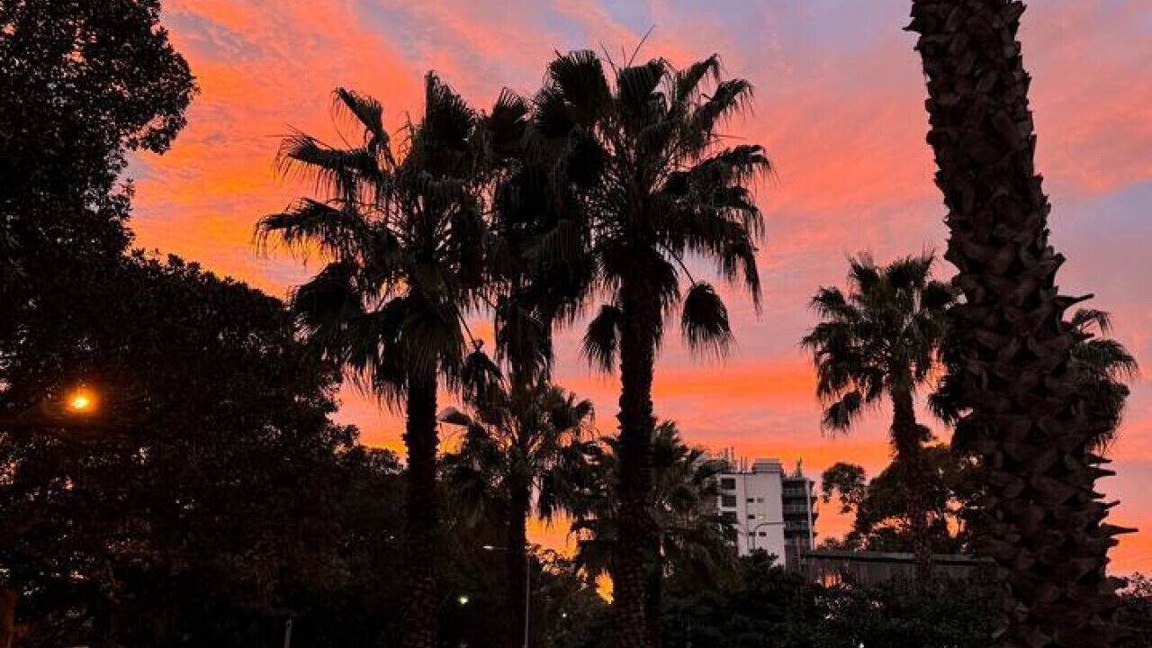 Photo of Others in Darling Point
