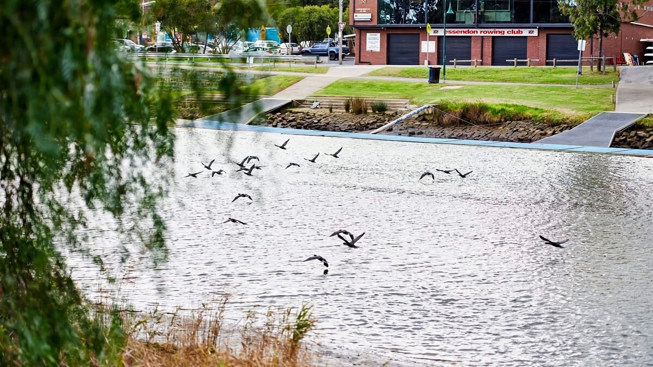 Photo of Others in Moonee Ponds