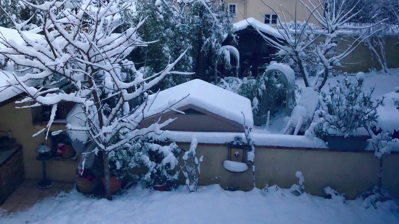 Photo of Outdoor in Clamart