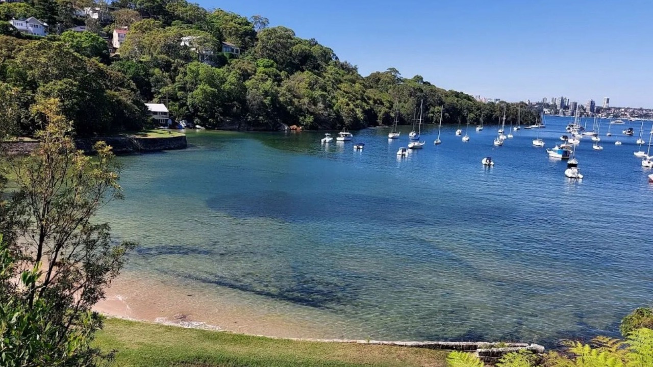 Photo of Others in Mosman