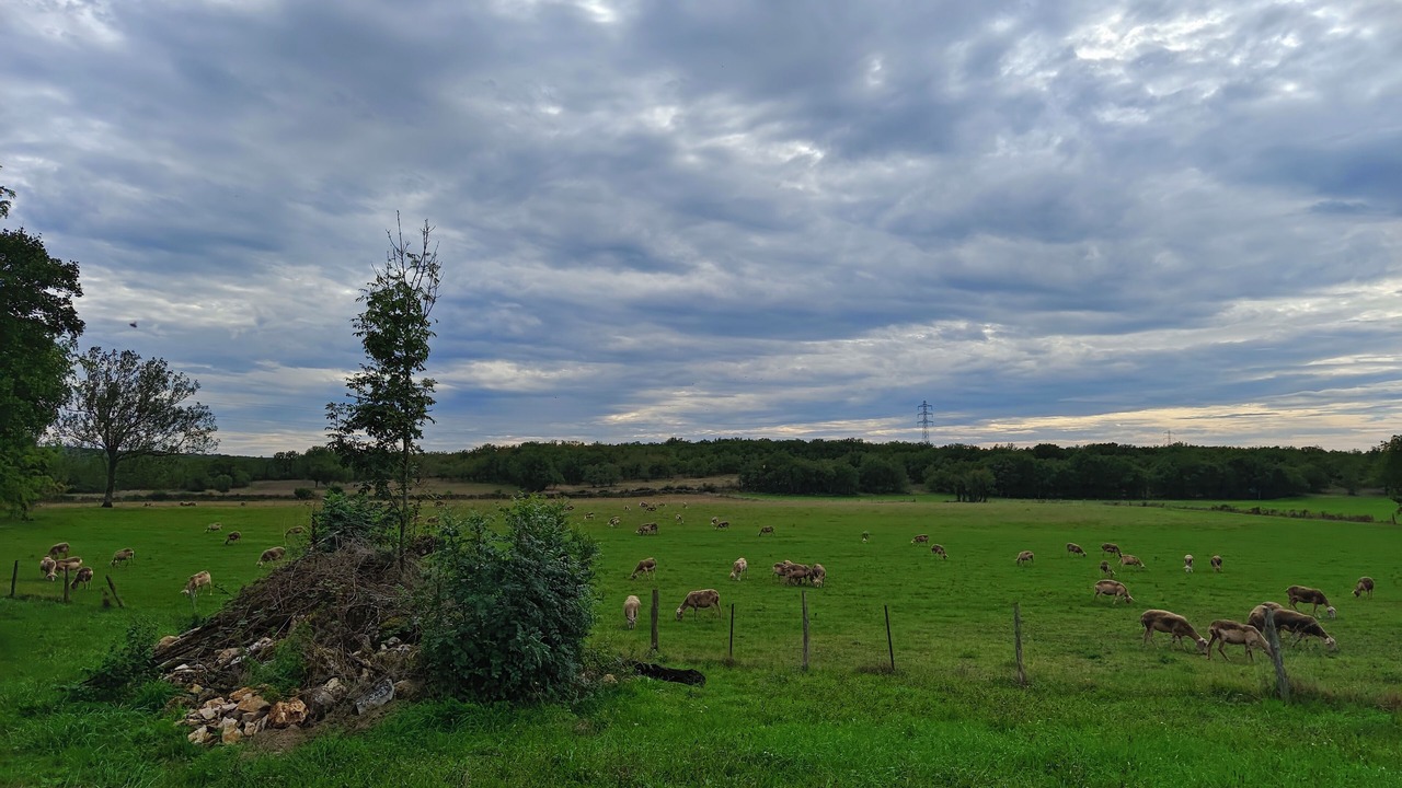 Photo of Others in Saint-Antonin Noble Val