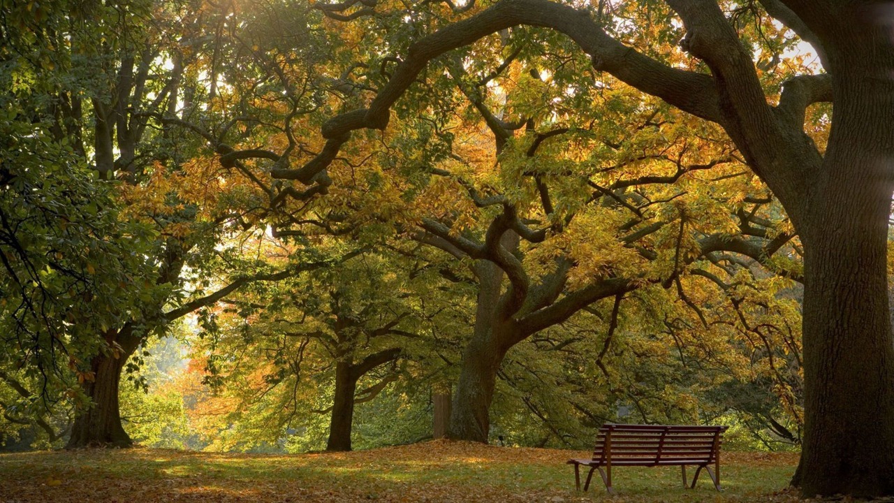 Photo of Others in Heathmont