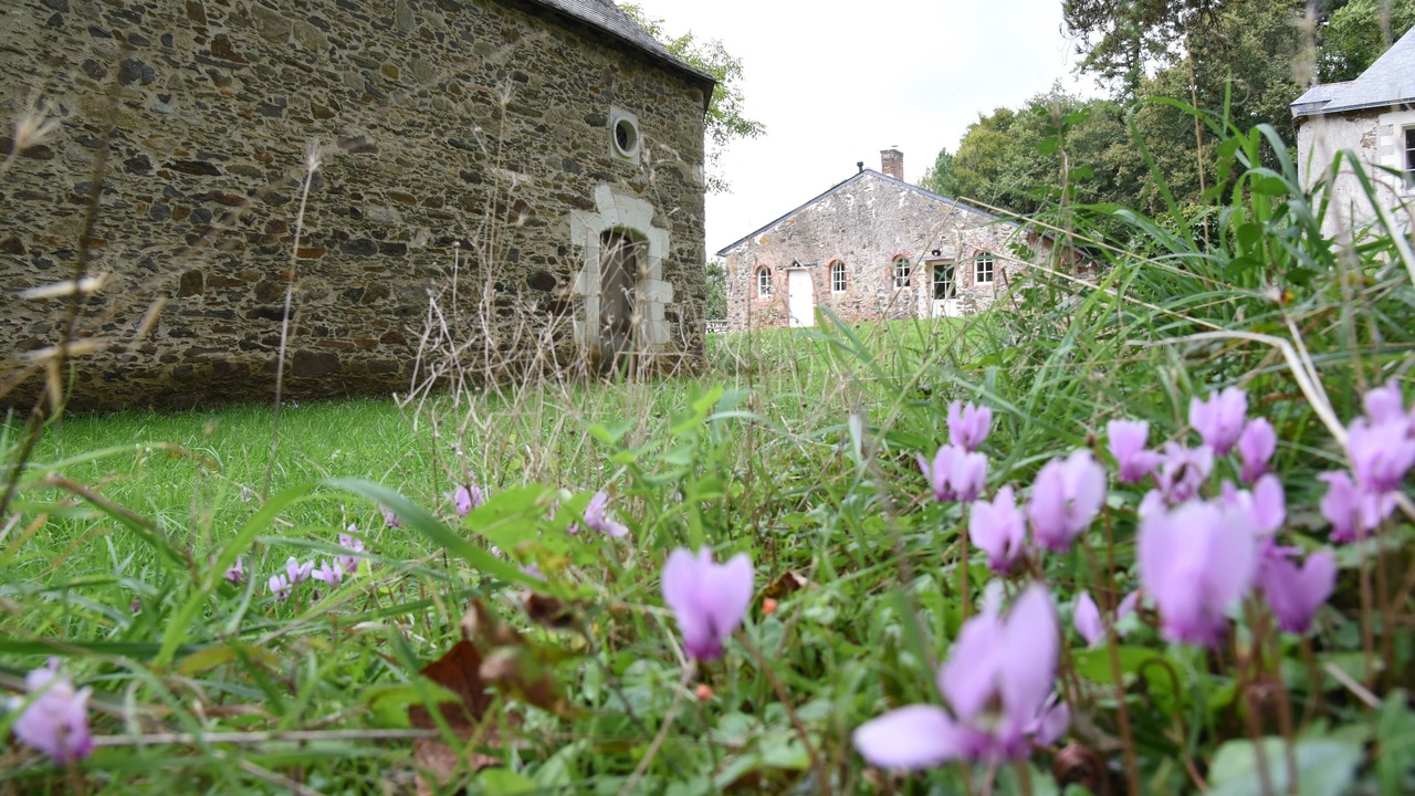 Photo of Outdoor in Nort-sur-Erdre