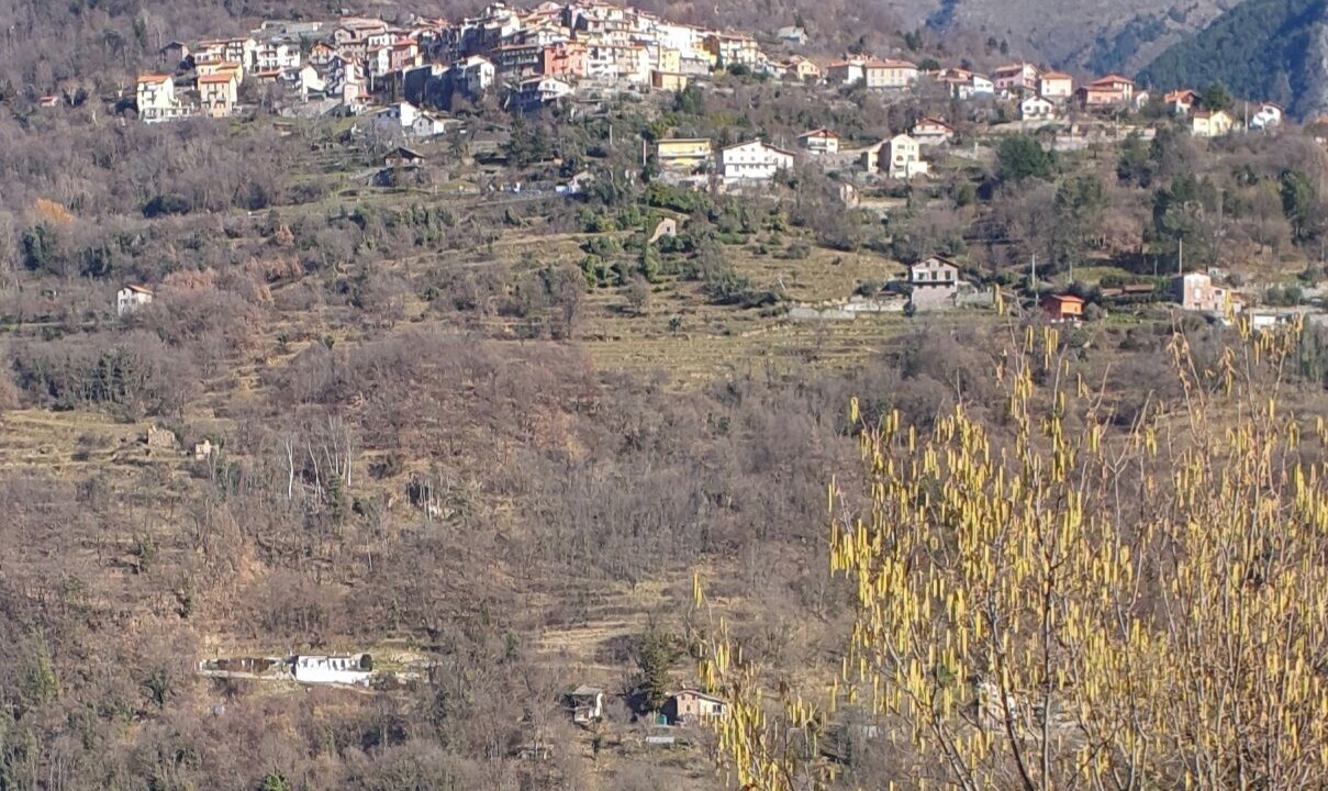 Photo of Others in Roquebilliere