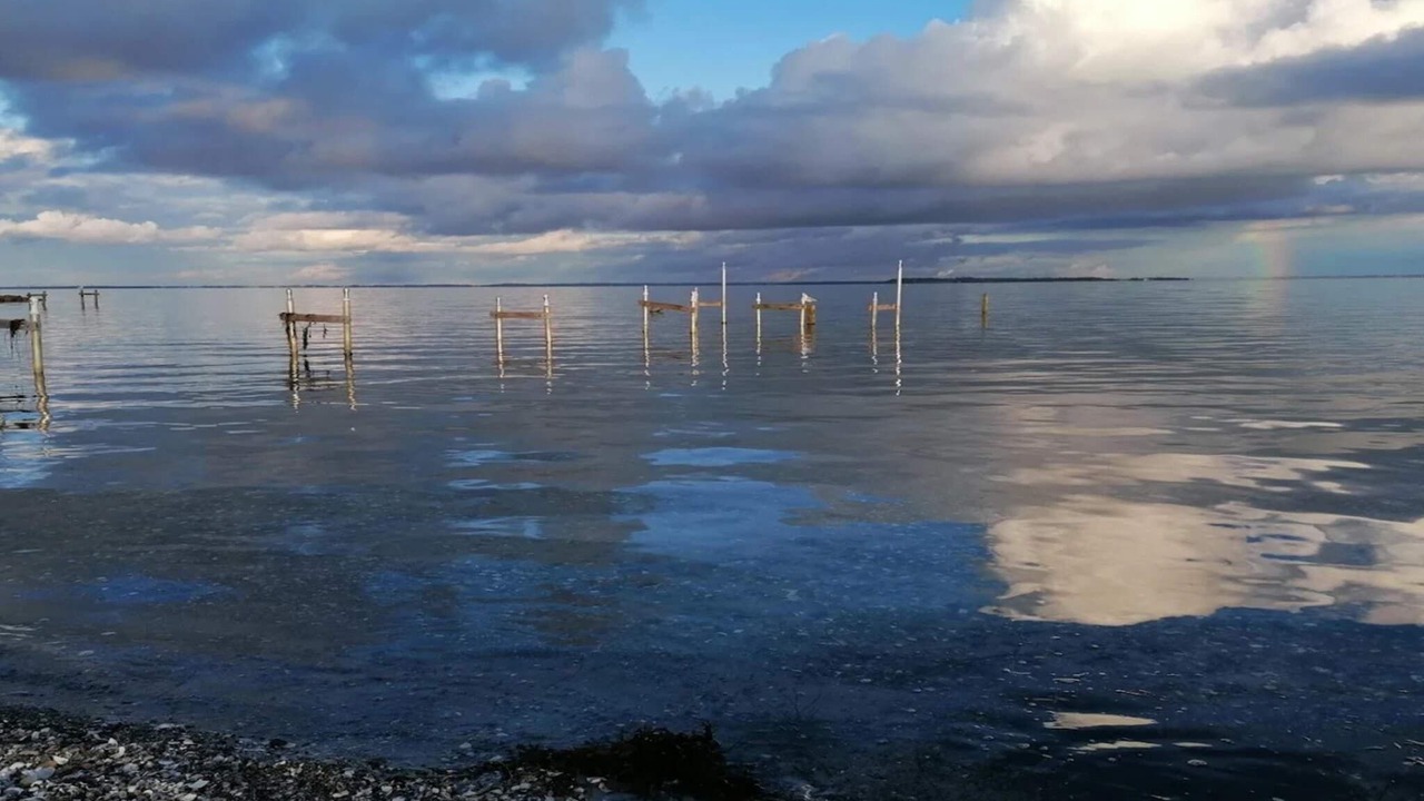 Photo of Others in Hejlsminde Strand