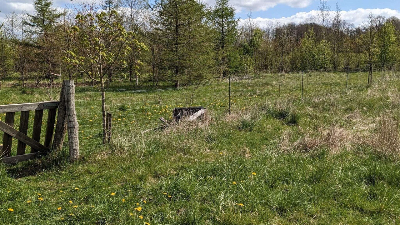 Photo of Outdoor in Skygge