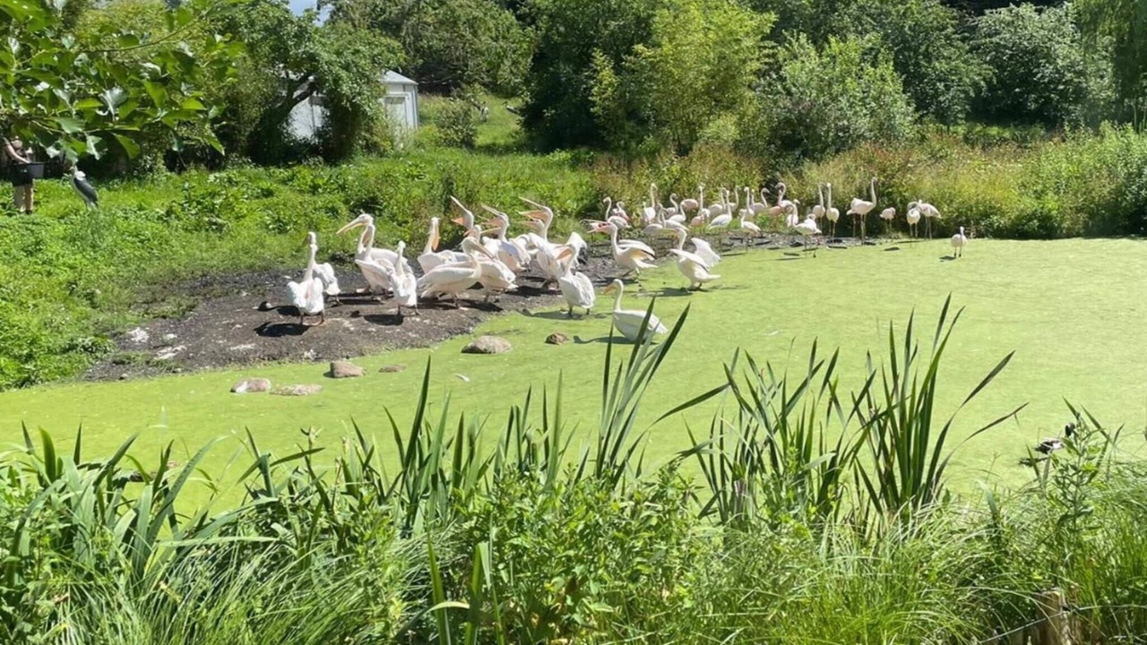 Photo of Others in Fuglslev