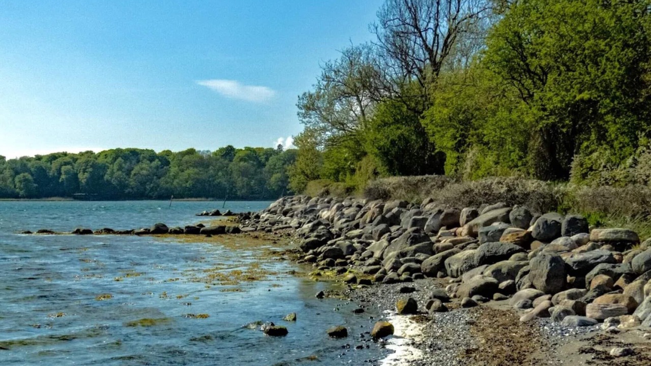 Photo of Others in Nysted